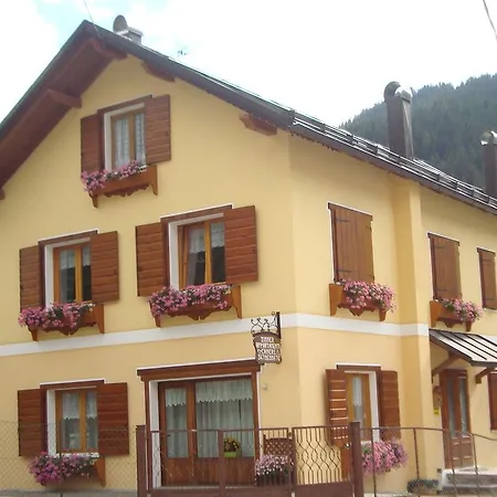 Monica Santo Stefano Di Cadore